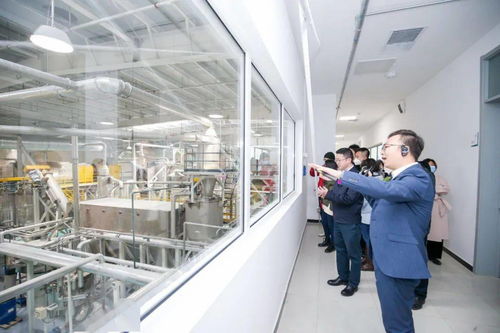 中国循环经济协会应邀出席盈创汇智食品级再生聚酯切片工厂开工庆典